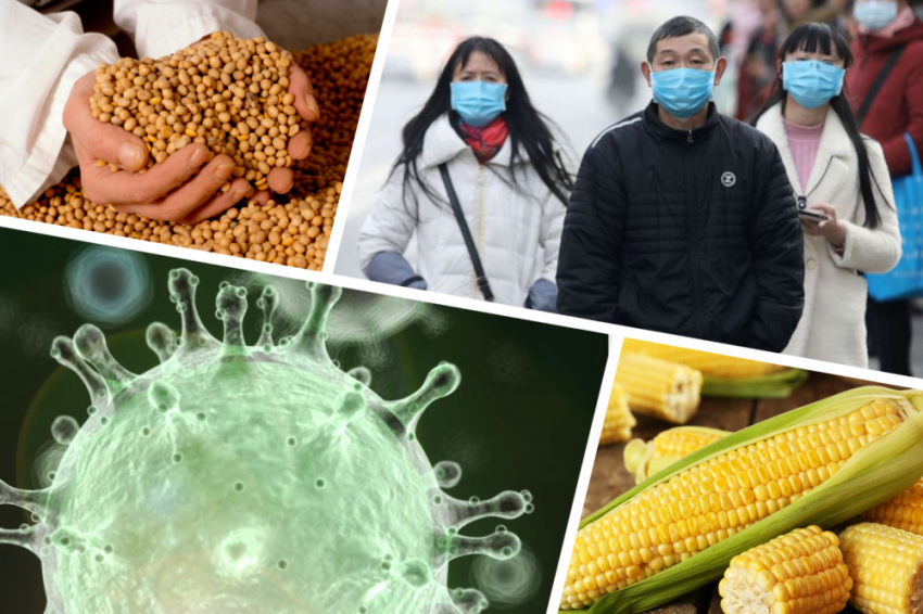 Влияние пандемии на экспорт продуктов питания в Китай